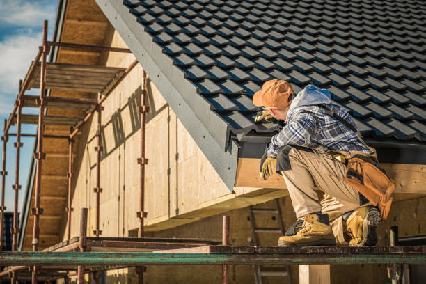 Best Rubber Roofing (EPDM, TPO)  in Princess Anne, MD