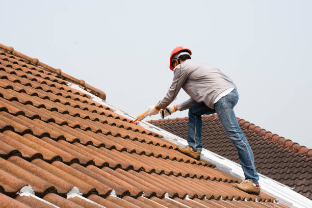 Fast & Reliable Emergency Roof Repairs in Princess Anne, MD